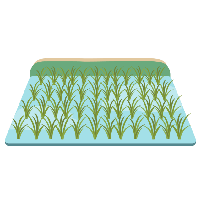 田んぼのイラスト