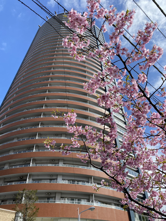 マンション